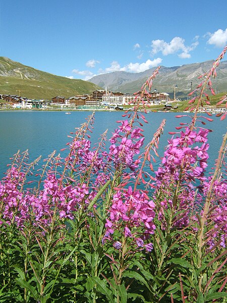 File:Lac-de-Tignes2.jpg