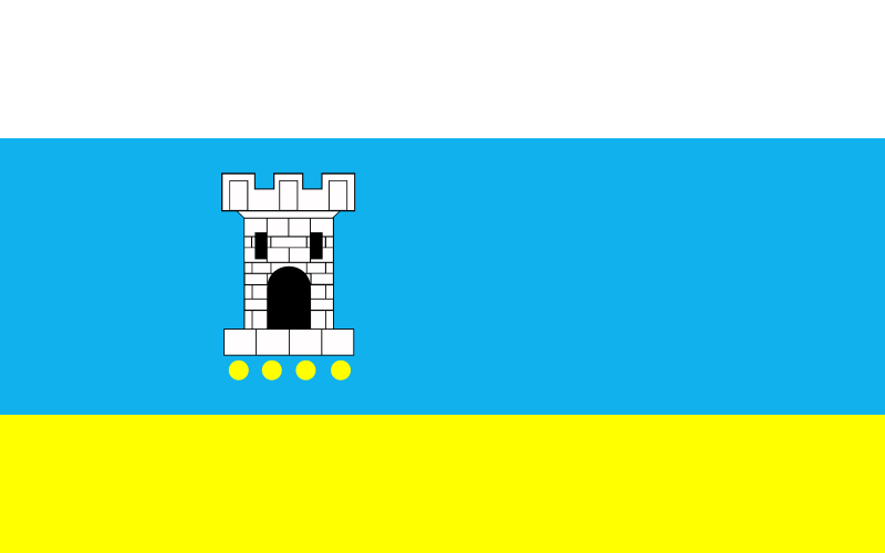 File:POL Pleszew flag.svg