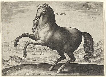 Hieronymus Wierix, Appulisch paard, 1578