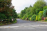 Thumbnail for File:Private road near Kenmare, Co. Kerry - geograph.org.uk - 5910839.jpg