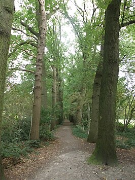 Stadspark Schothorst