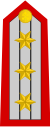 Colonel