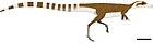 Sinosauropteryx prima