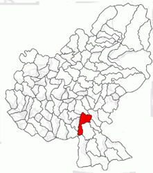 Location in Mureș County