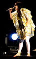 Björk performance at Rock en Seine, Paris 2007