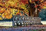 Thumbnail for File:Dülmen, Wildpark, Brücke am Herzteich -- 2022 -- 4642.jpg