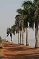 Hooghly River in Haldia, 2011