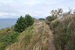 Thumbnail for File:Heath in NP Vorpommersche Boddenlandschaft north of Hiddensee 2021-09-17 22.jpg