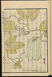 19th-century Japanese illustration