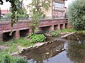 Sandsteinbrücke in Berga bei Niedrigwasser