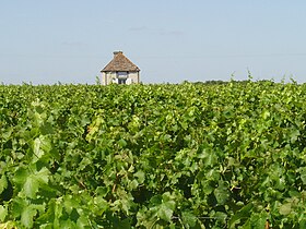 Image illustrative de l’article Touraine-amboise