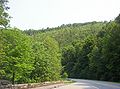 File:Road near Tellico Plains.jpg