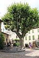 Vaison-la-Romaine, Vaucluse, France