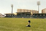 Miniatuur voor Estádio de São Luís