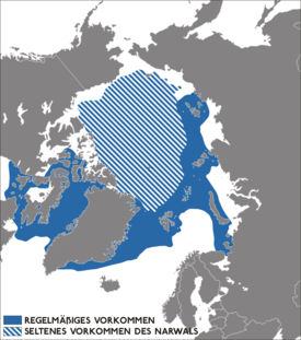 Narhvalens udbredelse.