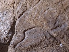 Español: Grabado paleolítico: Cabeza de un caballo (Cueva del Moro) .