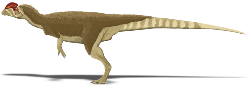 File:Dilophosaurus wetherilli.PNG