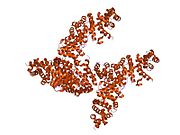 1jpw: ESTRUTURA CRISTALINA DUN COMPLEXO Tcf-4 HUMANO/BETA-CATENINA