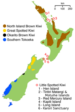 Distribución de cada especie de kiwi