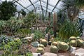 * Nomination: Plants in the Princess of Wales Conservatory --Mike Peel 07:11, 8 October 2024 (UTC) * * Review needed