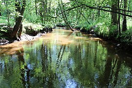 Tschirne in der Niederschlesischen Heide