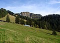 Train des Rochers de Naye