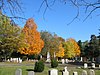 Vale Cemetery and Vale Park