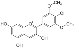 Struktur von Malvidin