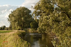 Grenzübertritt bei Vlodrop im Sommer