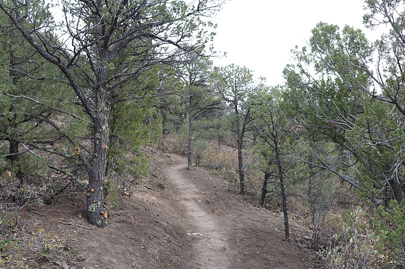 File:Fishers Peak State Park trail.JPG