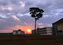 Pôr do sol visto da UFFS.jpg