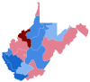 2004 West Virginia Senate Election