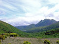 Mt. Kuju / 九重山