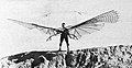 Otto Lilienthal's wing (16.08.1894)