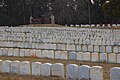 detail of graves