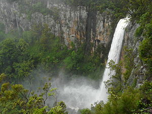 Purlingbrook Falls in Springbrook National Park