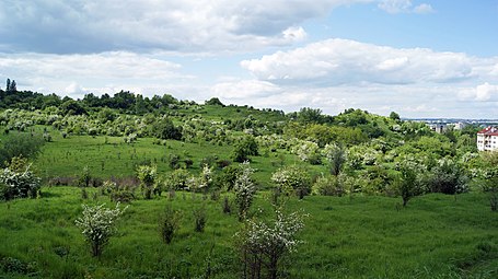 Podgorze's old and new Jewish cemeteries - 2011