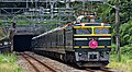 A Twilight Express service hauled by a JR West Class EF81 electric locomotive in August 2009