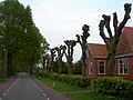 De Kaleweg bij Oude Wierden.