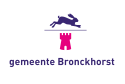 Flago de la municipo Bronckhorst