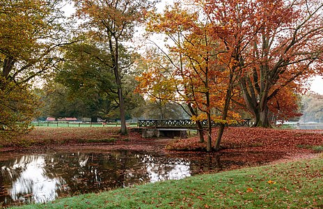 Autumnal scene, by XRay (edited by Sting)