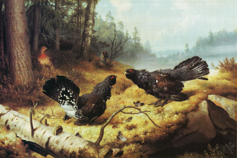 The Fighting Capercaillies, Ferdinand von Wright, 1886