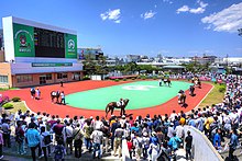 船橋競馬場（パドック）