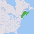 ◣OW◢ 03:54, 15 May 2019 Candlepin states & provinces (PNG)