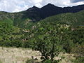 A Cumbres de Majalca Nemzeti Park (Chihuahua)