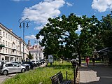 Farbfotografie eines begrünten Weges mit großen Bäumen an der rechten Seite und einer schmalen Wiese in der Mitte. Links sind parkende Autos und eine Häuserreihe mit einer Kirchenspitze.