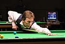 Ken Doherty -  Bild