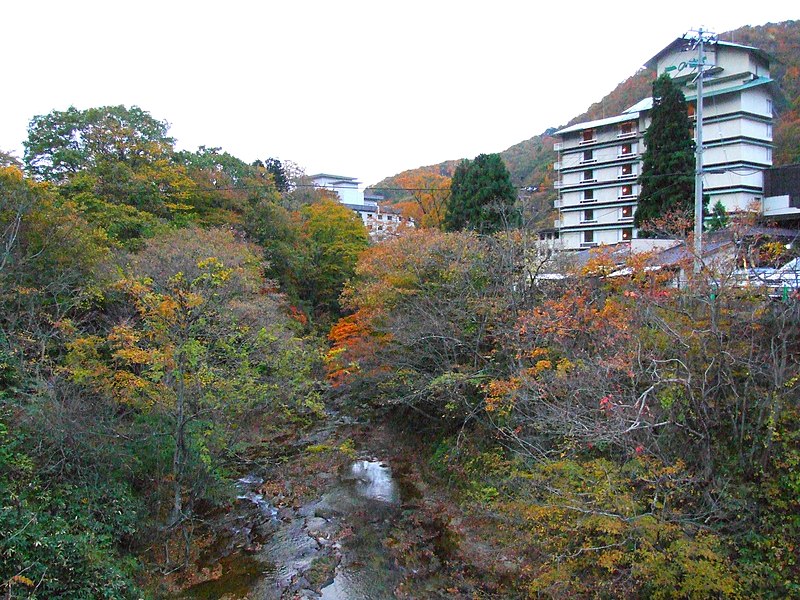 File:SakunamiOnsen2007-11,.jpg