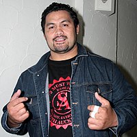 Mark Hunt, 2007