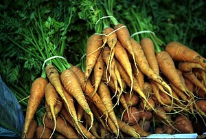 Ruter faan wochler (Daucus carota sativus)